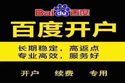 SEM代运营机构案例分析：优化策略与执行
